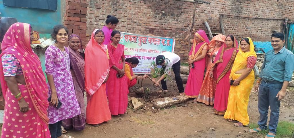 सफल युवा मंडल के 6 वर्ष पूरे होने पर किया पौधारोपण